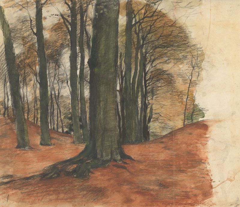 Paisaje forestal con árboles altos, óleo sobre lienzo de Willem Witsen