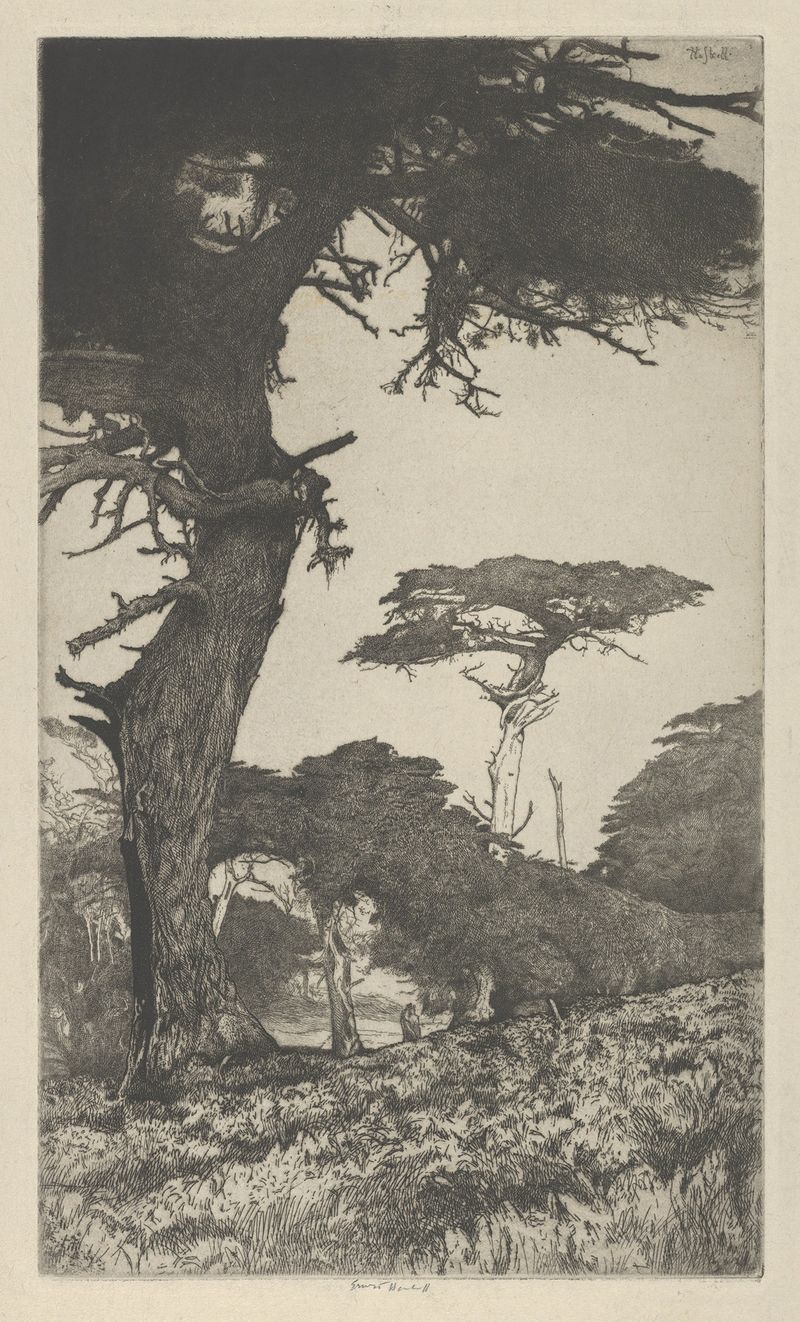 Cypress Vale by Ernest Haskell, watercolor on paper, depicting lush cypress trees and a serene sky.