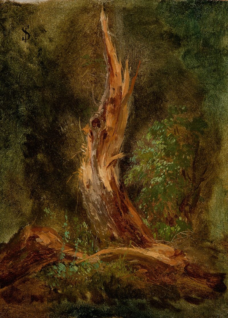 Volhynian Forest by Józef Szermentowski, oil on canvas depicting a tranquil forest scene.