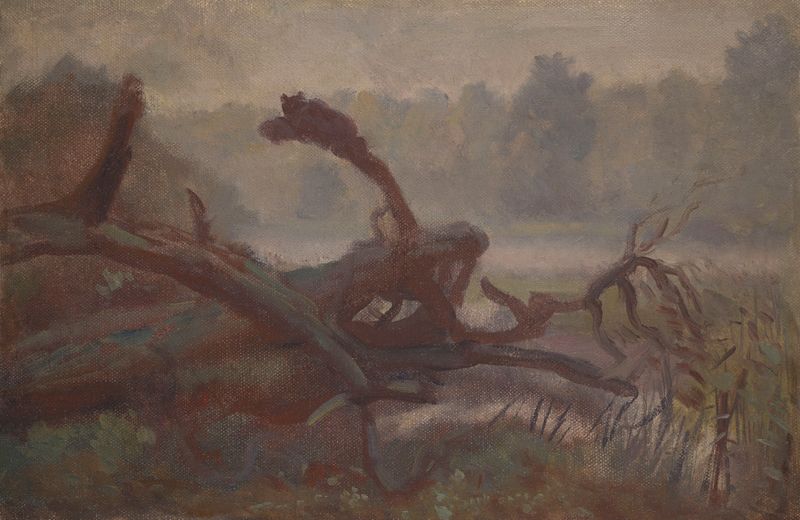 Wilderness; Forest Windfalls, óleo sobre tela de Jozef Chelmonski retratando uma floresta com galhos caídos