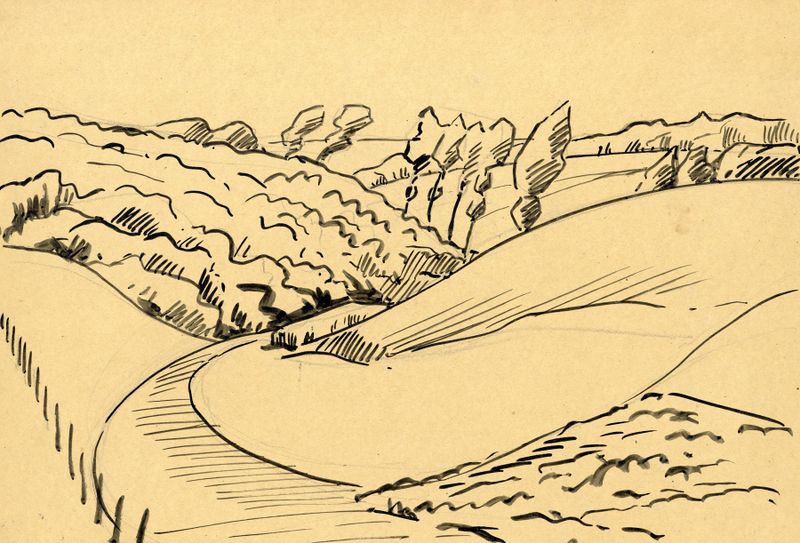 Landscape in ink by Albert Daenens, ink on paper depicting nature's whispers.