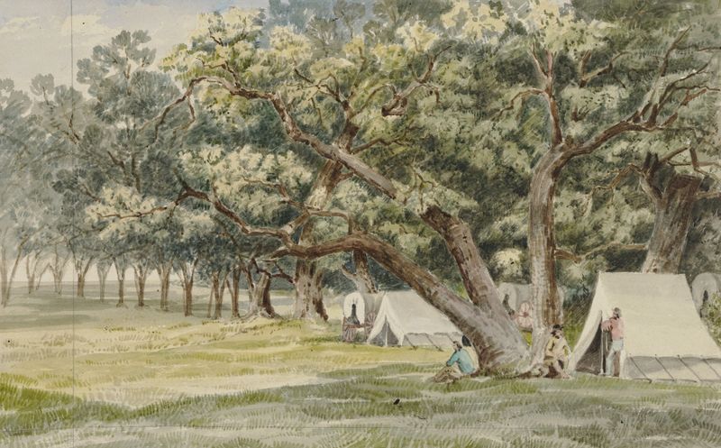 A Cottonwood Grove de John Mix Stanley, retratando uma paisagem serena com árvores de algodão, pintura a óleo.