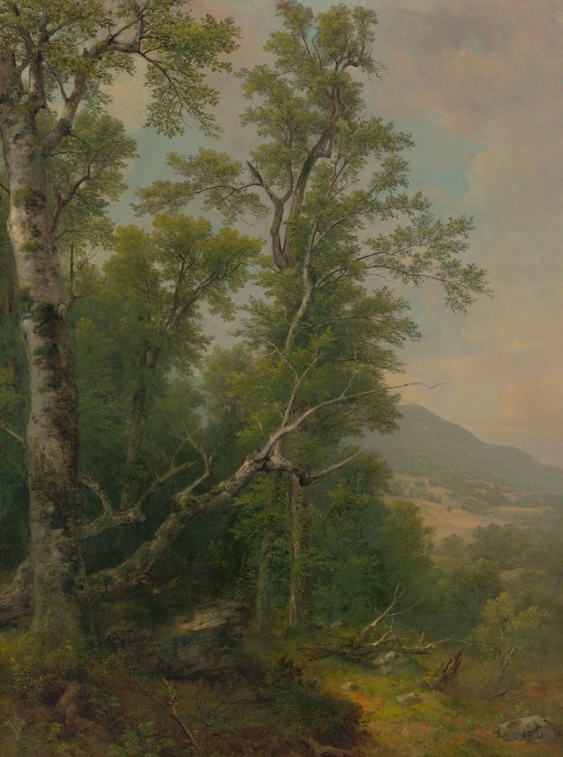 Study of Trees de Asher Brown Durand, meio plástico, representando árvores e galhos intrincados.