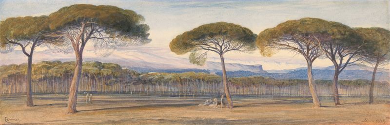 Uma paisagem de bosques de pinheiros acima de Cannes, pintura a óleo de Edward Lear