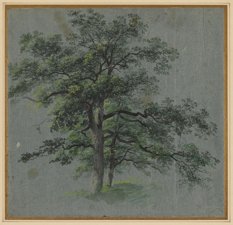 Dos Árboles de Johann Jacob Dorner, pintura al óleo que representa árboles retorcidos en un paisaje sereno.
