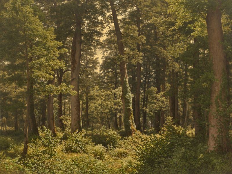 Eichwald (Bosque de Robles) de Robert Zünd, óleo que representa un bosque de robles con luz filtrada.
