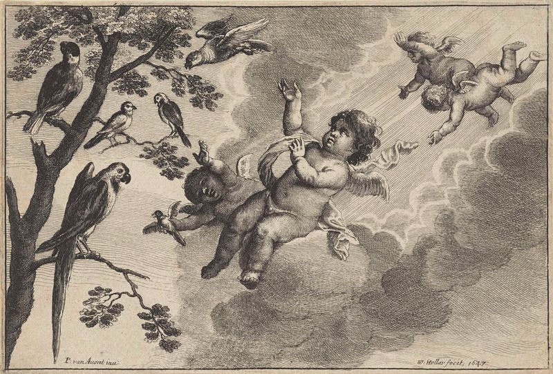 Gravura de Wenceslaus Hollar mostrando putti com aves tropicais em um céu