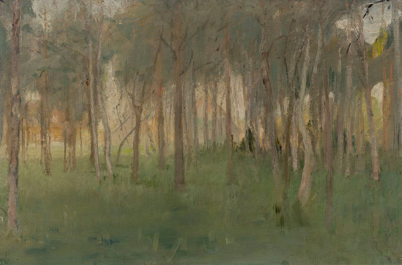 Paisagem de um grove por Jan Ciągliński, pintura a óleo, mostrando luz e sombra.