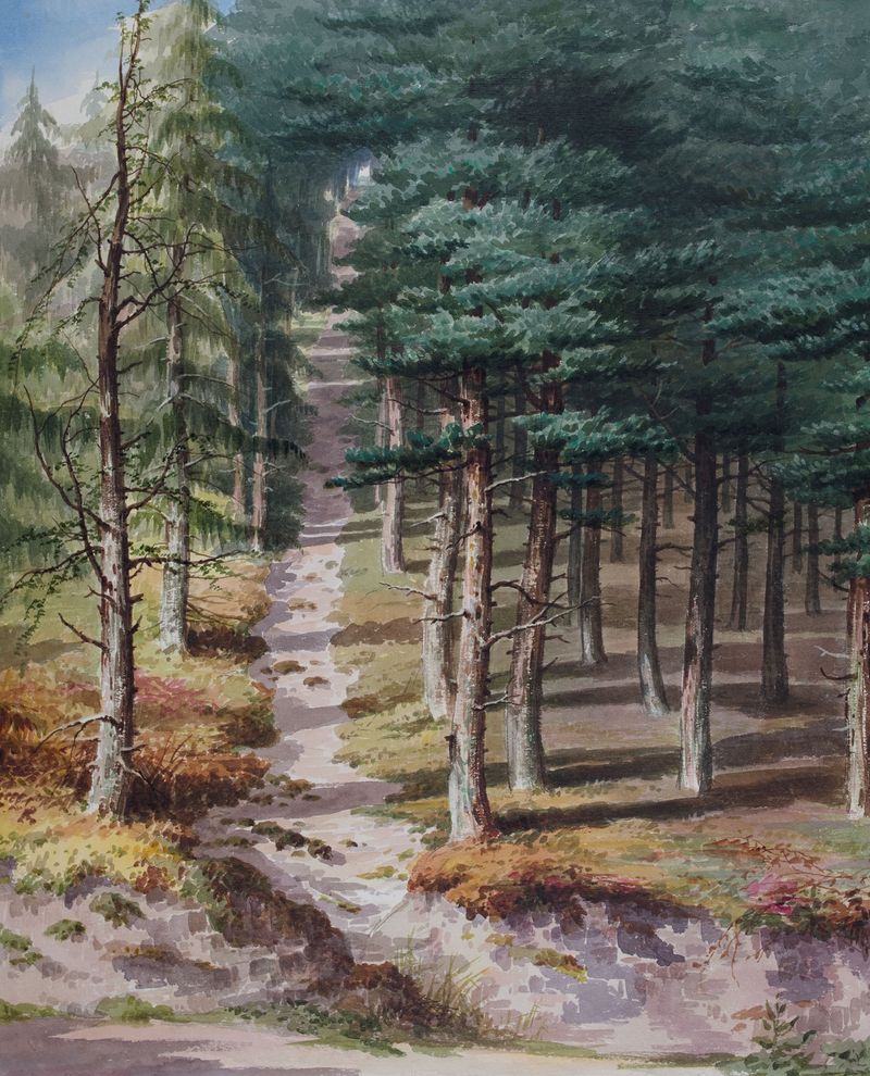Paisaje de Rednal Wood de Elijah Walton, óleo sobre lienzo, con un claro sereno y luz filtrada.