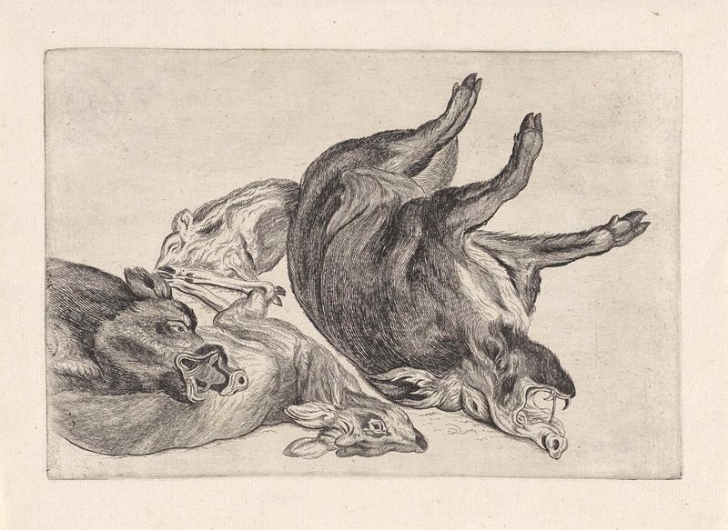 Gravura de Wenceslaus Hollar mostrando um cervo morto e javalis