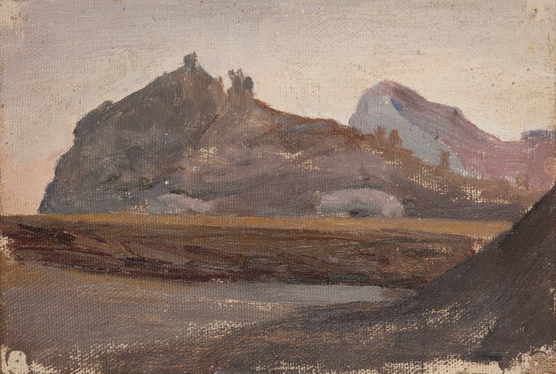 Paisagem com vegetação de Jan Ciągliński, óleo de 1904