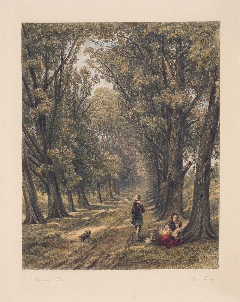 Landscape with tree-lined country road, oil painting by Louis Marvy