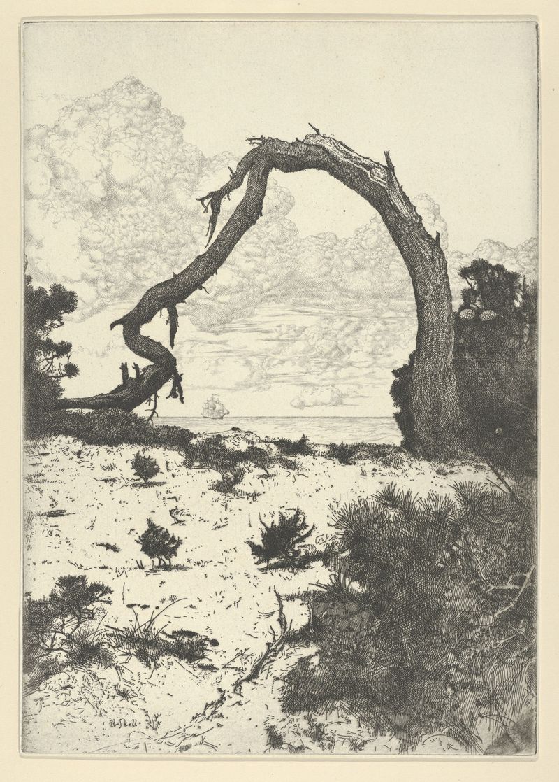 Pine Arch by Ernest Haskell, oil painting featuring towering pine trees framing a natural landscape.