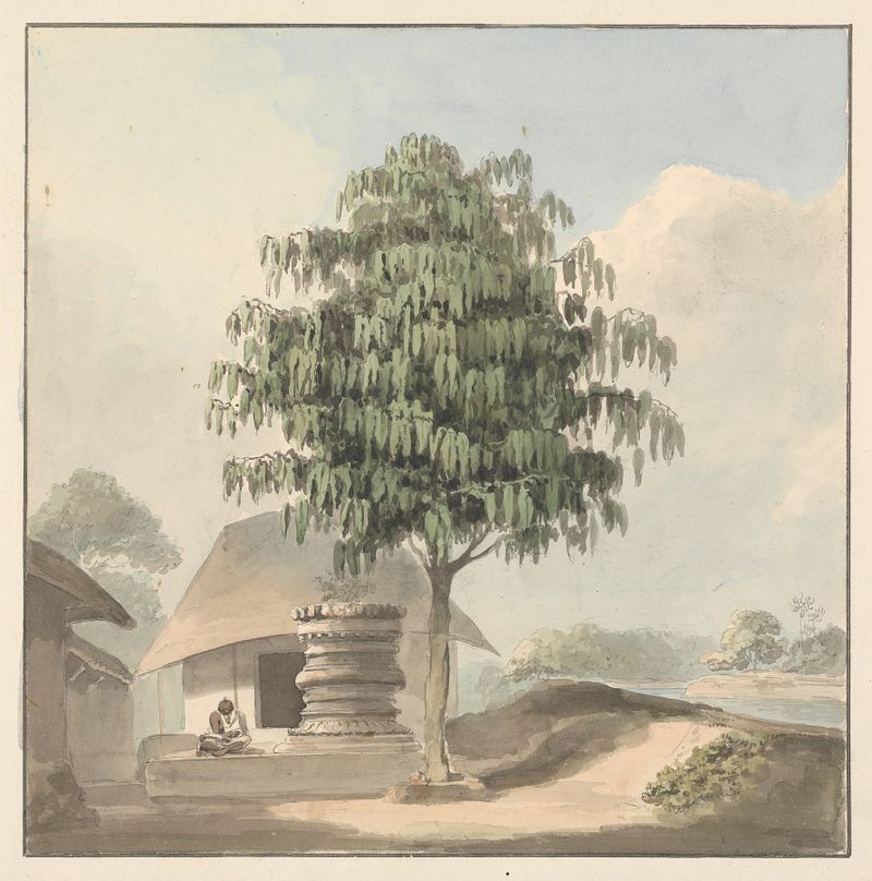Santo sentado bajo un árbol con túnicas en tonos tierra, pintura al óleo de Samuel Davis