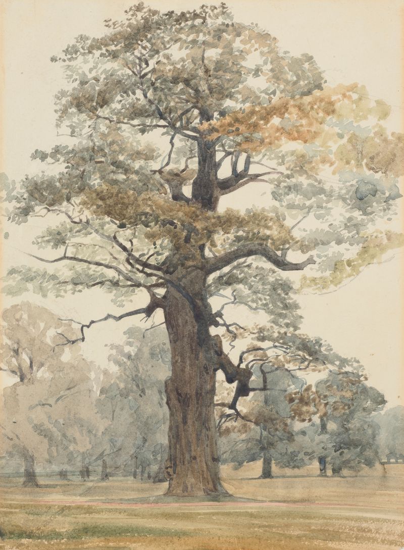 Oak in Kettlestone Park de James Crowe Richmond, óleo sobre lienzo que muestra un gran roble.