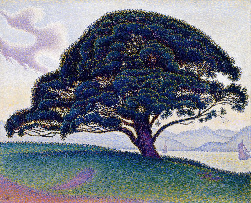 O Pinho Bonaventure de Paul Signac, óleo sobre tela, apresenta um alto pinheiro iluminado pela luz do sol.