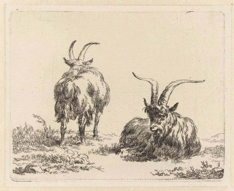 Gravura de Nicolaes Pietersz Berchem mostrando uma cabra em pé e deitada.