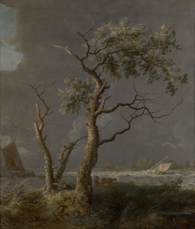 Landscape with trees and water by Allaert van Everdingen, oil painting