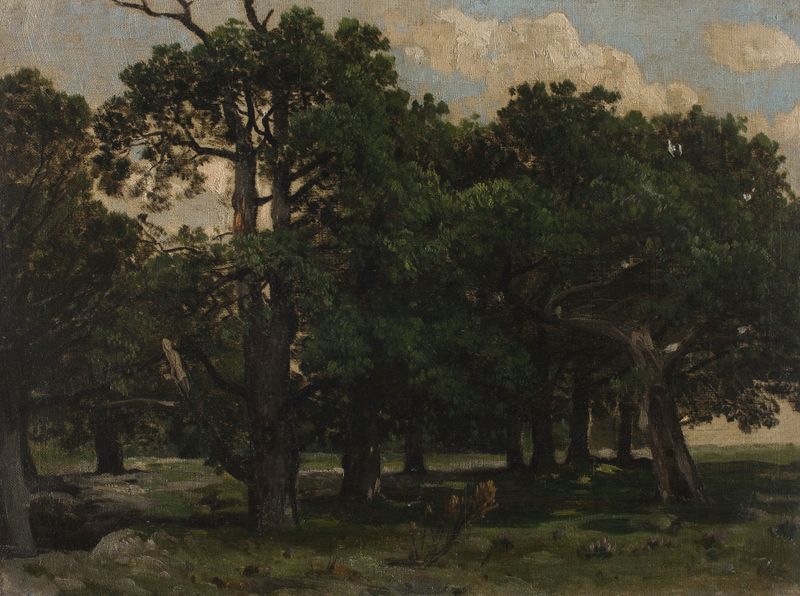 Landscape of tall pines with textured strokes by Józef Szermentowski, oil painting