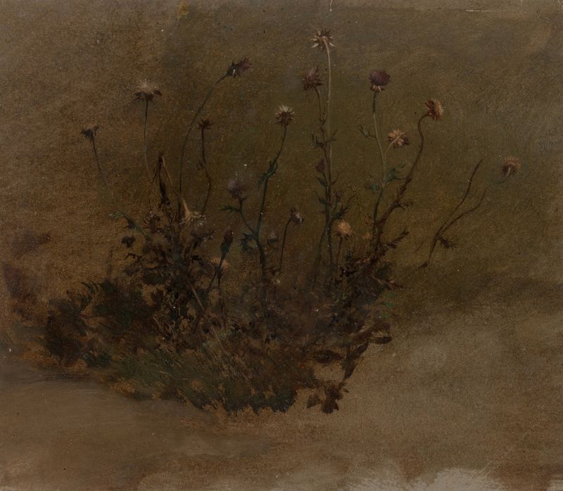 Wild Flowers de Elihu Vedder, óleo sobre tela retratando flores silvestres vibrantes