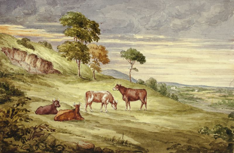 Deer Park, possibly Kilkenny by Elizabeth Murray, oil on canvas depicting a lush landscape with sunlight.