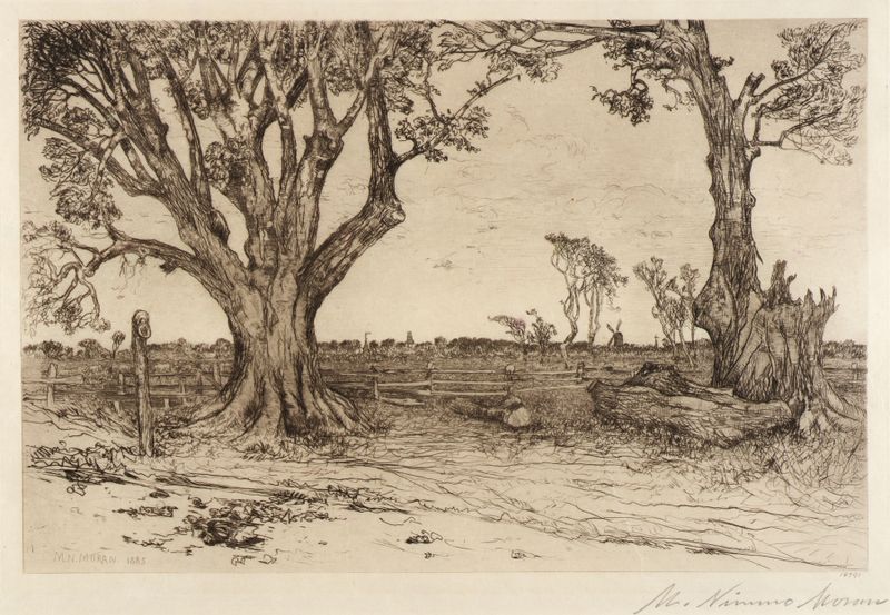 Old Lindens–Near Easthampton by Mary Nimmo Moran, impressionist oil painting depicting light through trees.
