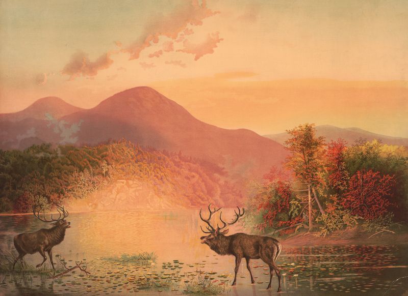 Deers Retreat by Joseph Hoover, oil painting depicting deer in a lush forest.