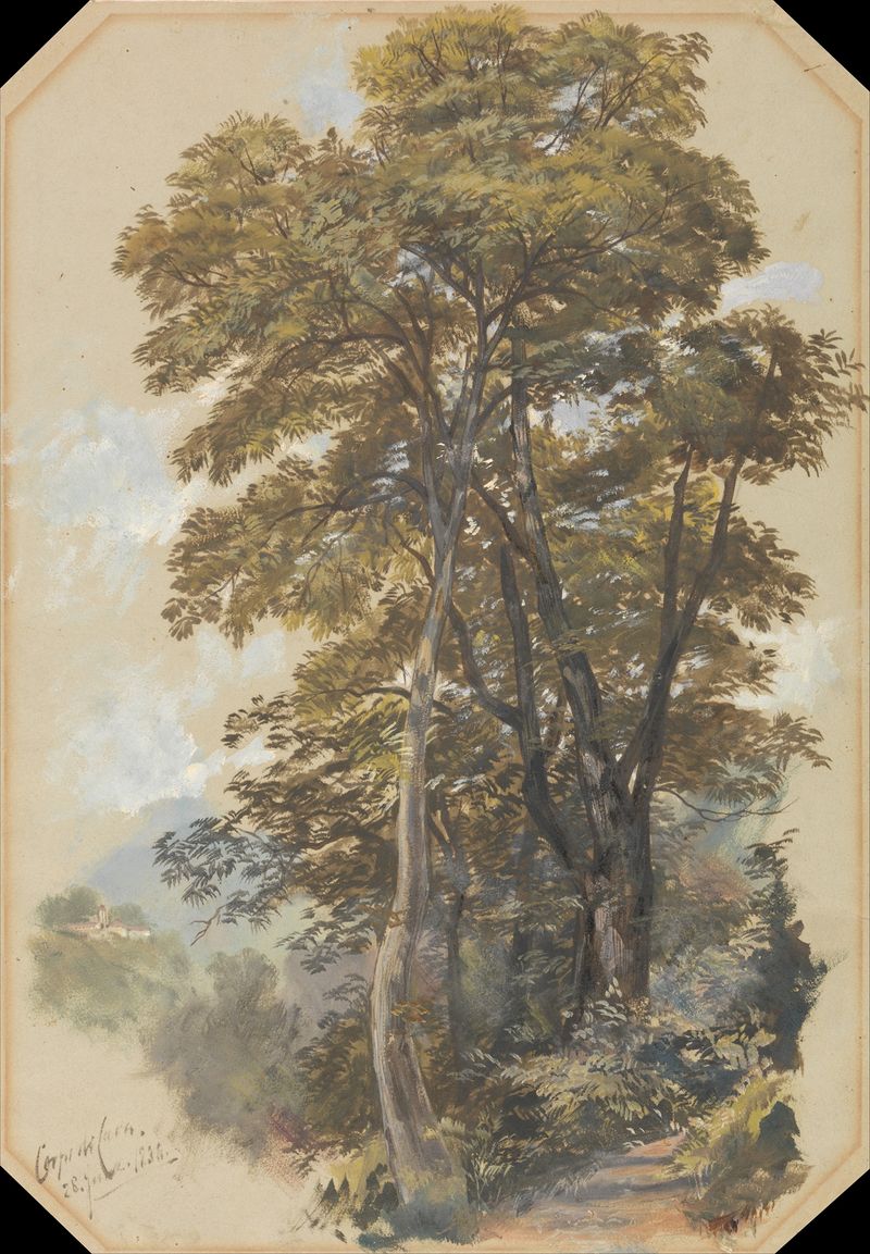 Paisagem com cavernas e vegetação, óleo de Edward Lear