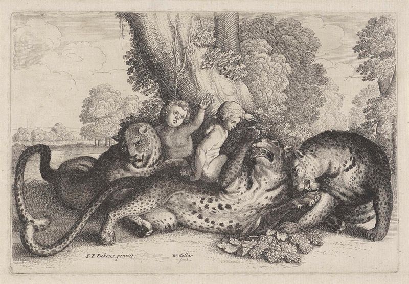 Grabado de Wenceslaus Hollar con dos niños y tres leopardos en un paisaje exuberante.