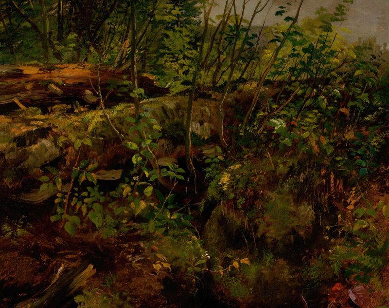 Study from Nature by Arthur Fitzwilliam Tait, oil on canvas depicting a fallen tree with vibrant foliage.