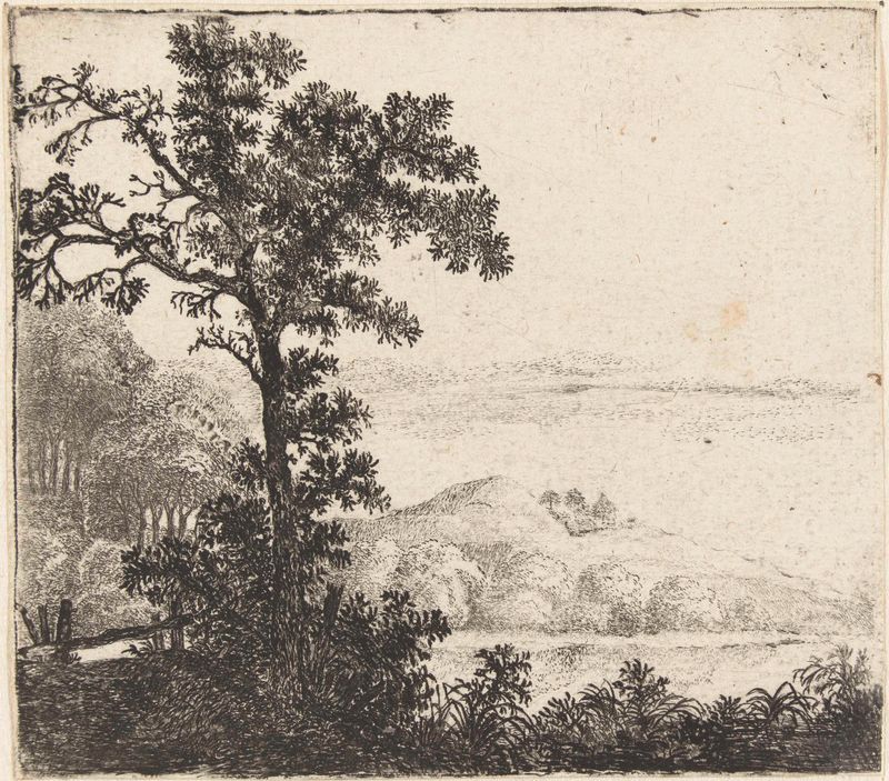 Landschap met boom bij een rivieroever etching by Jan van Brosterhuyzen