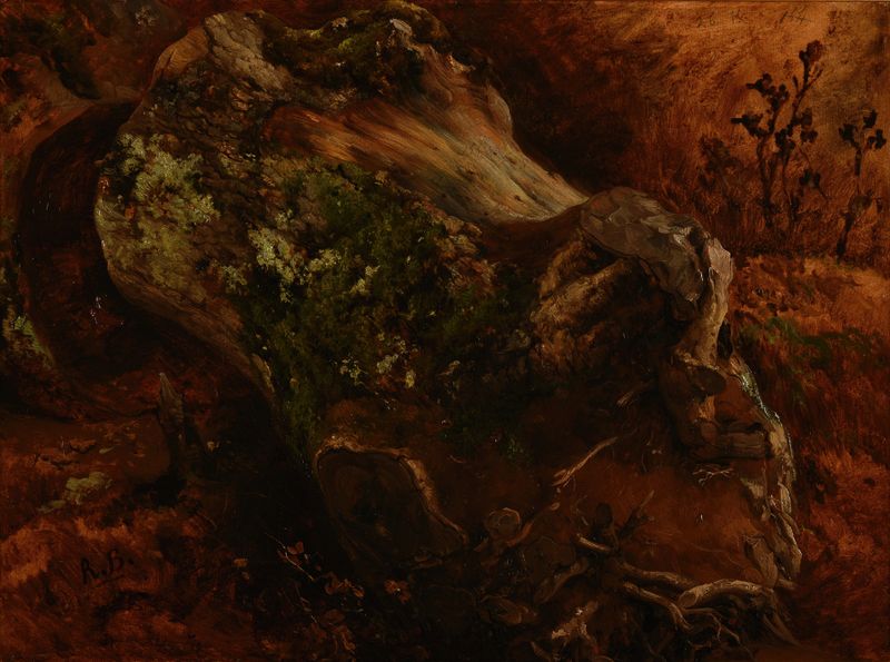 Tree stump with roots, oil on canvas by Jacques-Raymond Brascassat