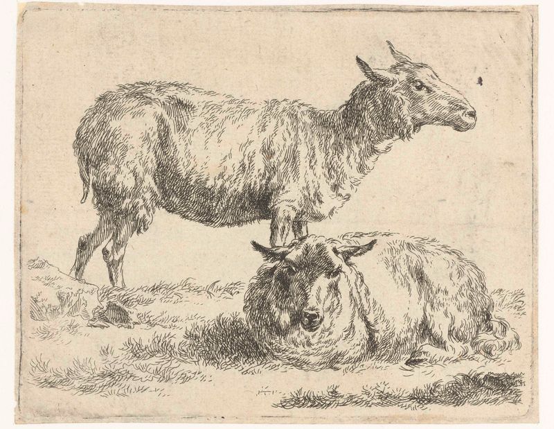 Gravura de Nicolaes Pietersz Berchem mostrando uma ovelha em pé e uma ovelha reclinada