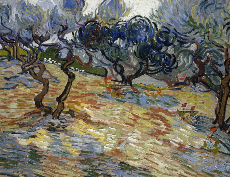 Olive Trees de Vincent van Gogh, óleo sobre lienzo que muestra troncos retorcidos y hojas en espiral