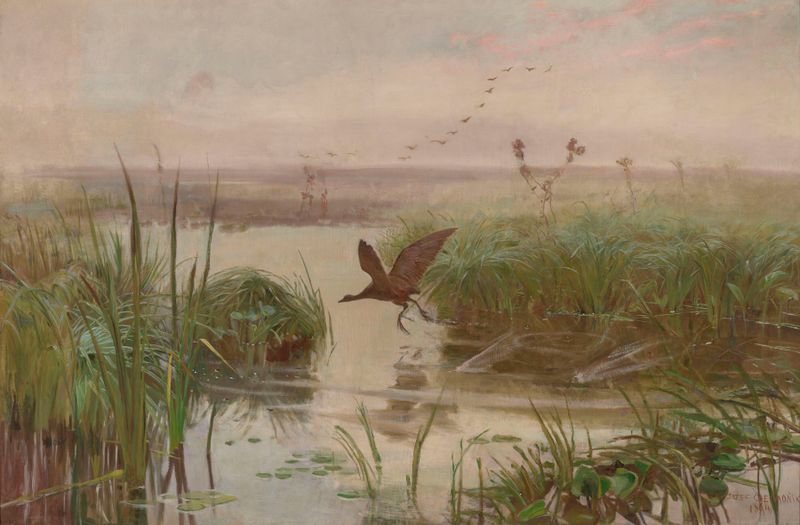 Water Hen de Jozef Chelmonski, representando una gallinita de agua entre juncos, pintura al óleo