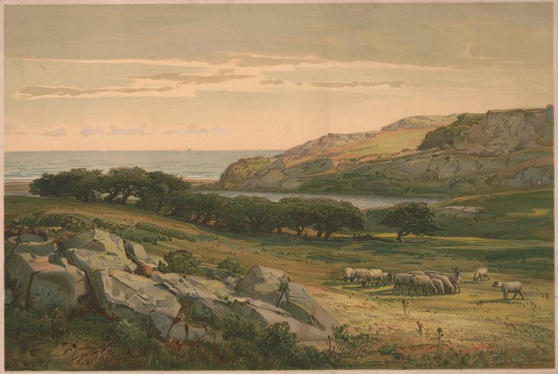 Almy’s Pond, Newport by Louis Prang & Co., chromolithograph depicting a tranquil pond landscape