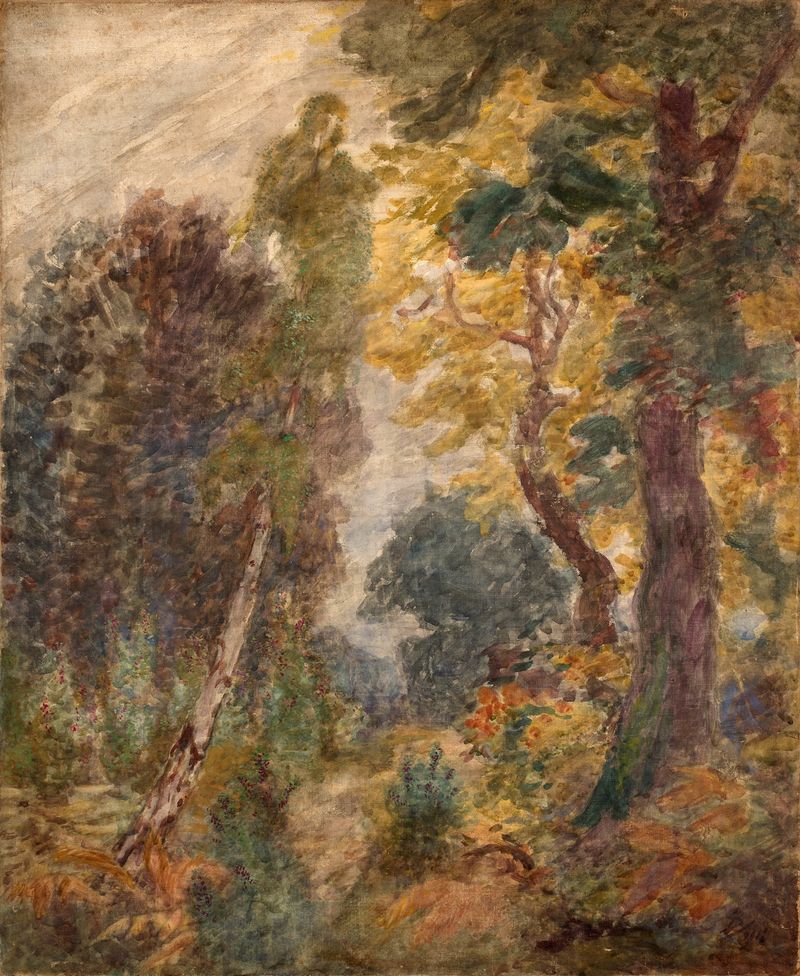 Landscape engraving by Félix Bracquemond depicting nature with sunlight and vibrant colors.