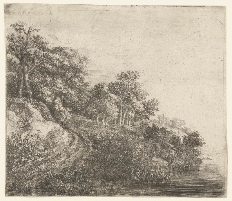 Heuvel met bebossing by Simon de Vlieger, drypoint of a lush hillock with intricate foliage.