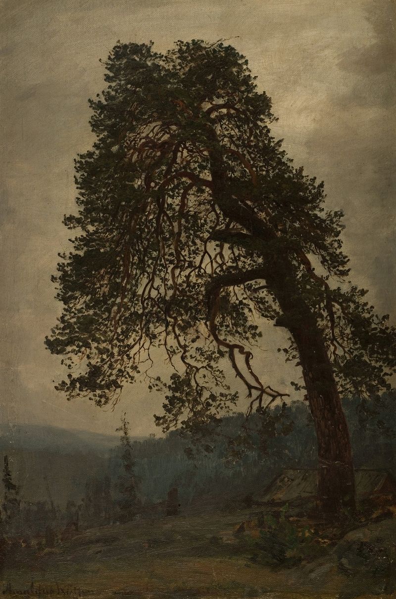 Retrato de um homem idoso em vestuário tradicional de Amaldus Nielsen