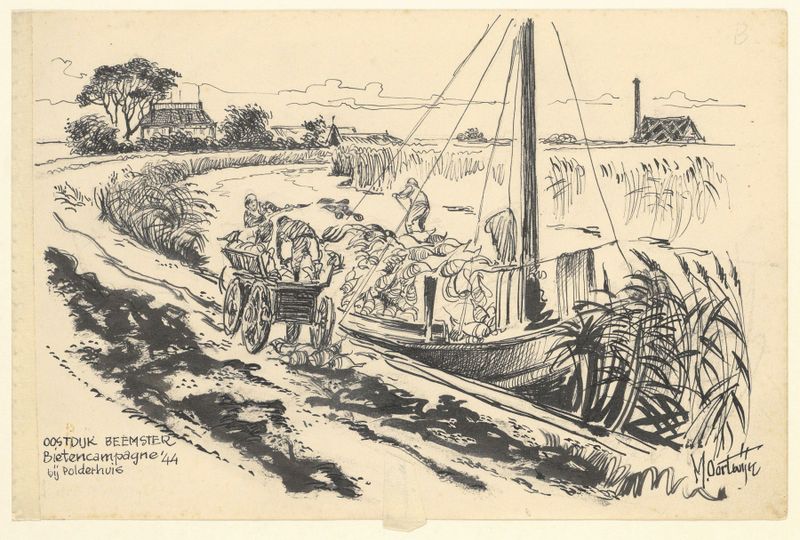 Oostdijk Beemster bietencampagne ’44 de Maarten Oortwijn, óleo sobre lienzo que muestra un campo de remolacha.