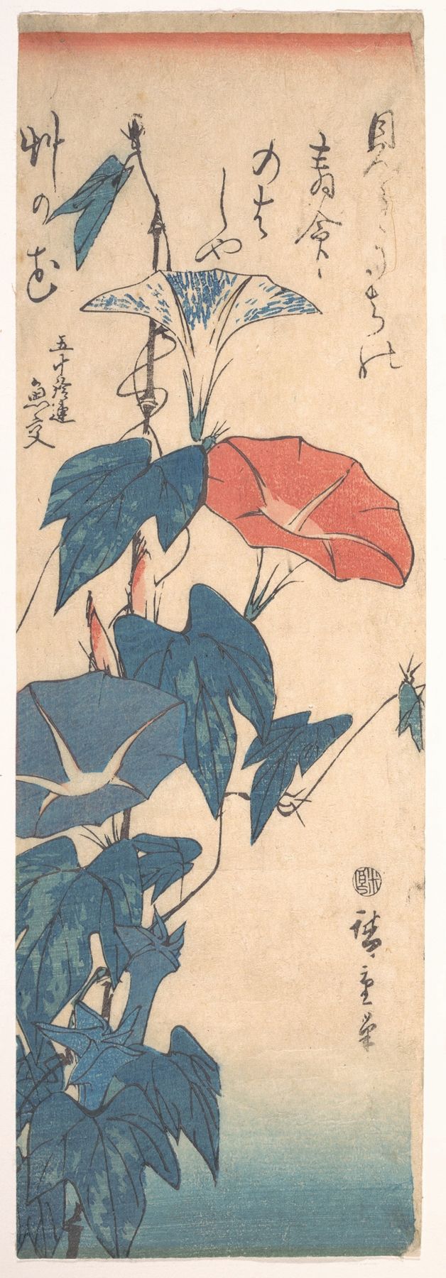Morning Glories de Utagawa Hiroshige, tinta sobre papel, con flores delicadas en azul y blanco.
