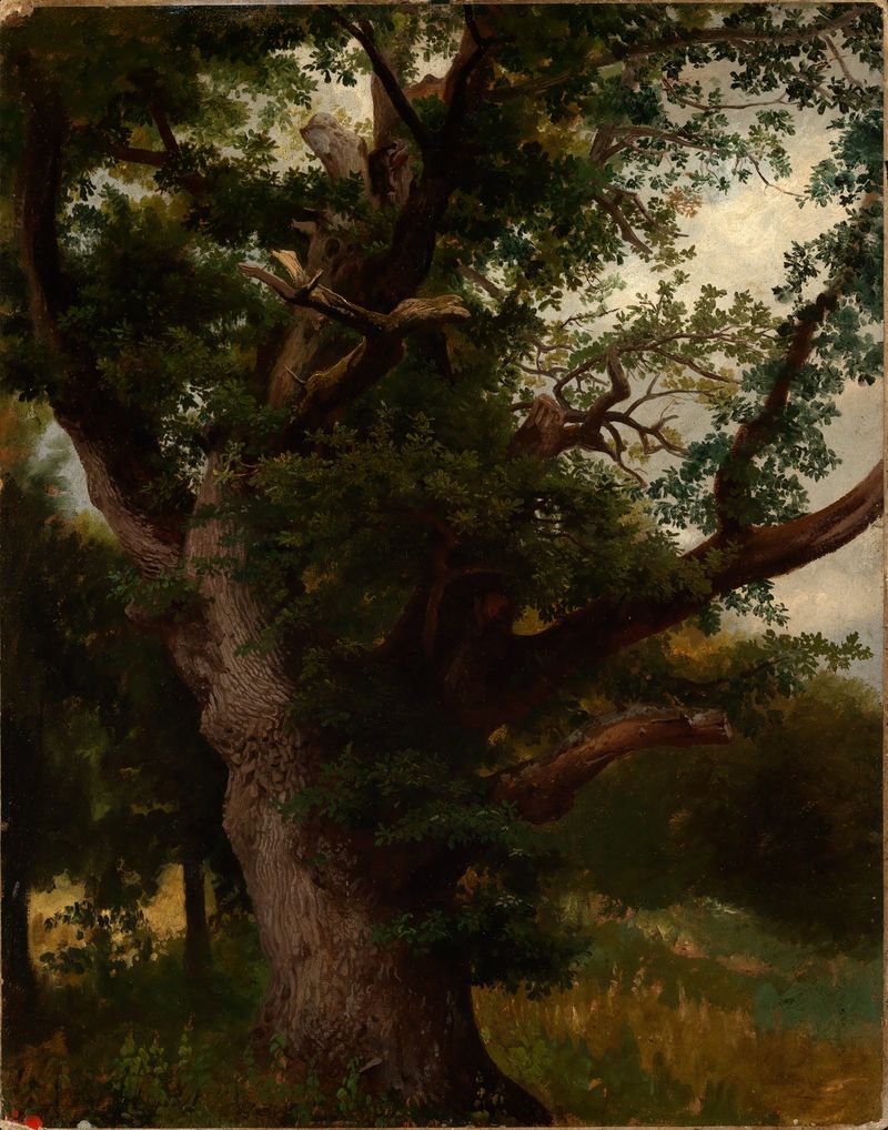 Eichbaum de Johann Wilhelm Schirmer, óleo de un roble bajo un cielo nublado