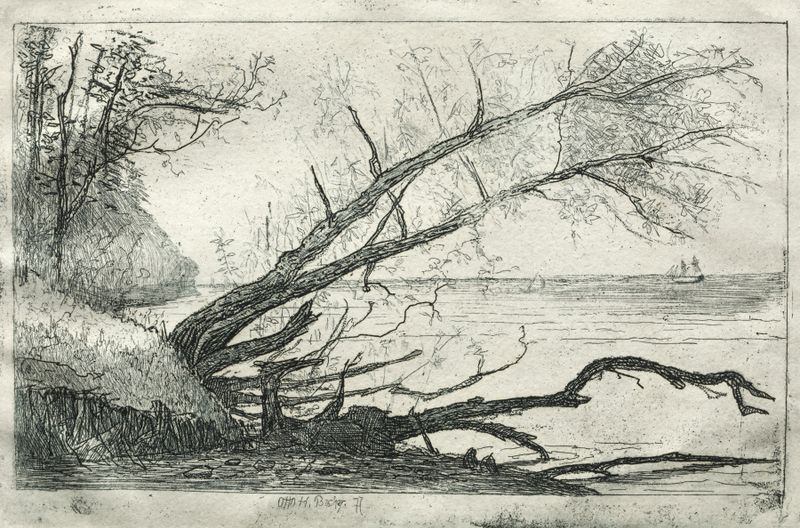 Old Sycamore by Otto Henry Bacher, realism artwork depicting a gnarled tree in natural light.
