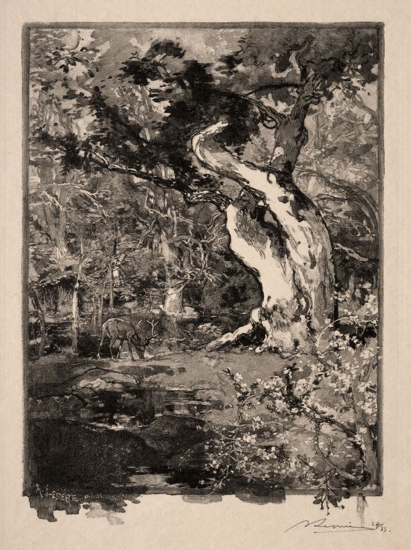 Gravura de Auguste Louis Lepère representando uma paisagem vibrante com um riacho e luz do sol