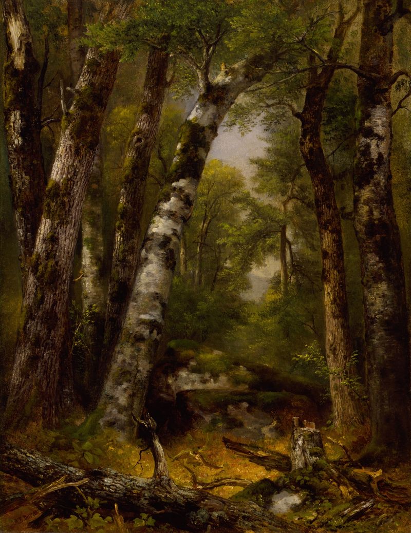 Woodland Glen de Asher Brown Durand, pintura a óleo que retrata uma cena florestal tranquila