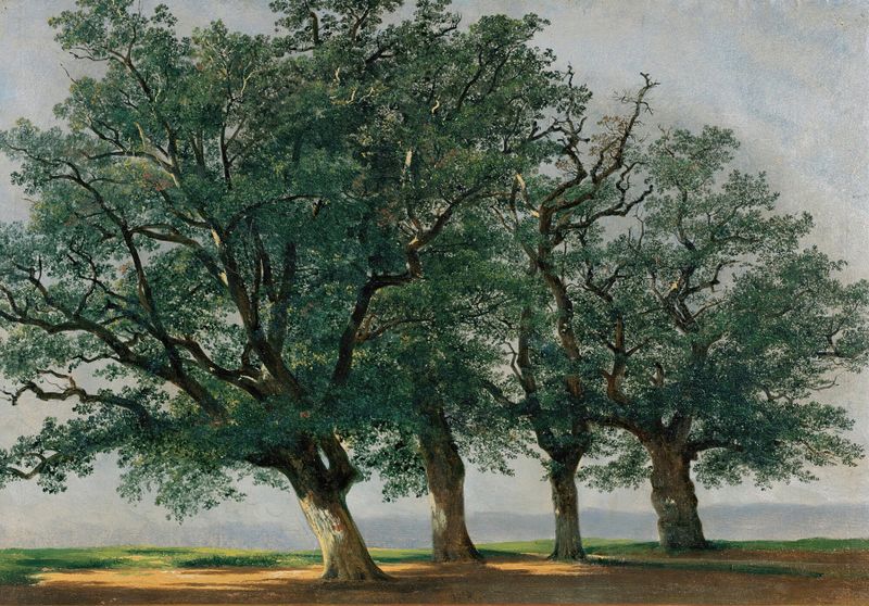 Quatre Grands Arbres de Alexandre Calame, óleo sobre tela que retrata árvores imponentes e uma paisagem serena.
