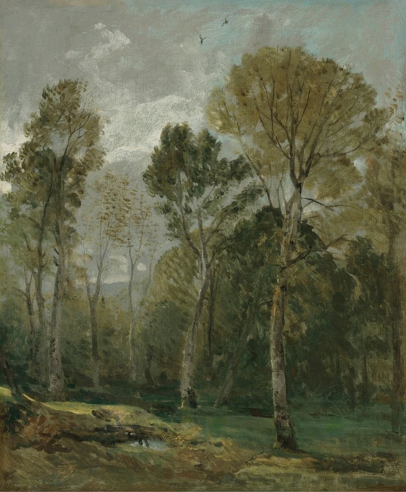 Vista de un Bosquete, óleo sobre lienzo de John Constable, con exuberante vegetación y luz filtrada.