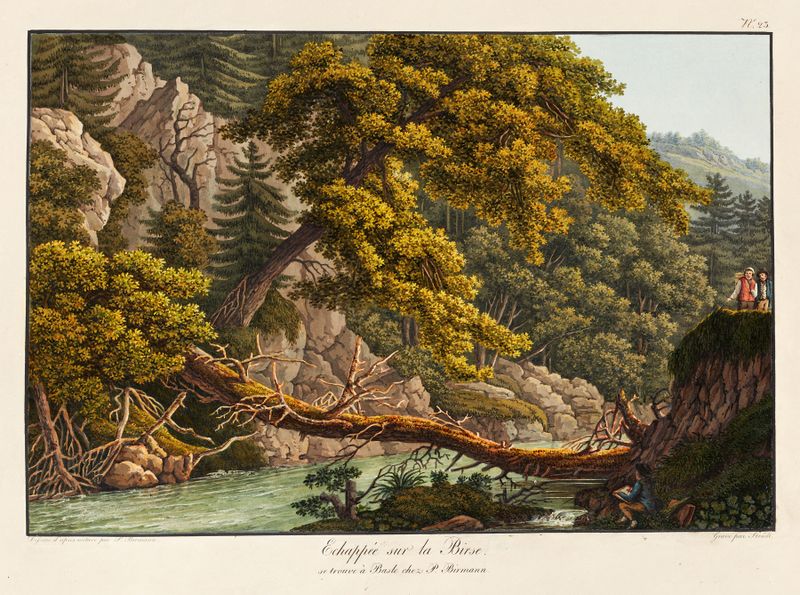 Echappé sur la Birse de Peter Birmann, óleo que representa un paisaje fluvial.