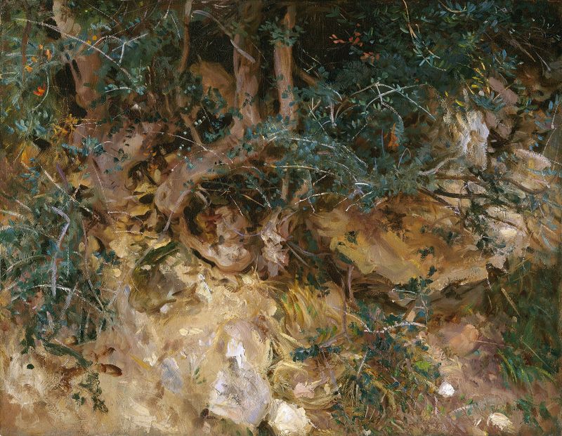 Cardos e vegetação em uma colina, óleo sobre tela de John Singer Sargent