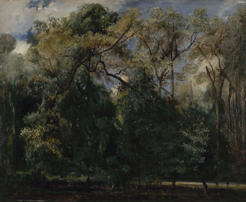 Vegetação exuberante e luz solar em Les ormes de Saint-Cloud, óleo sobre tela de Paul Huet